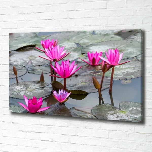 Foto canvas Lotusbloem