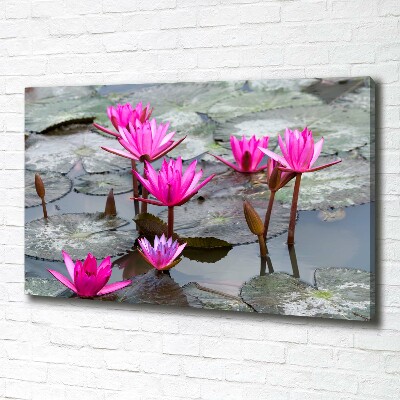 Foto canvas Lotusbloem