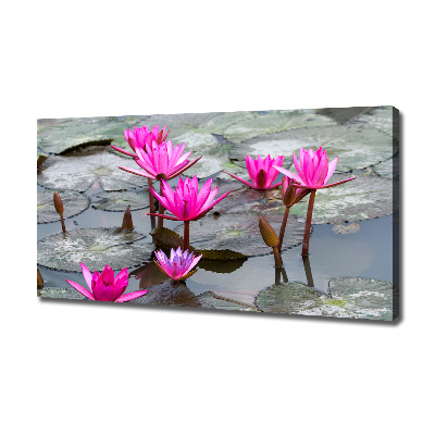 Foto canvas Lotusbloem