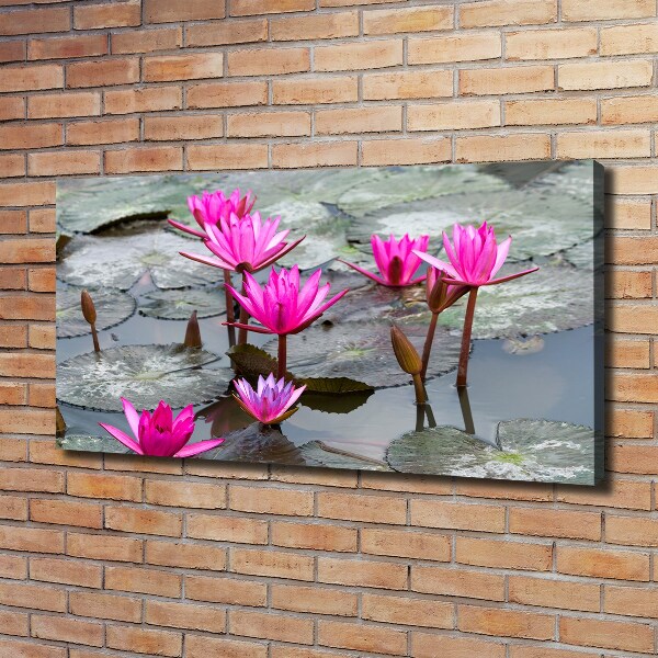 Foto canvas Lotusbloem