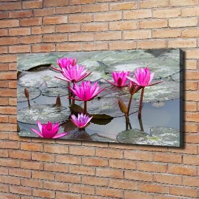 Foto canvas Lotusbloem
