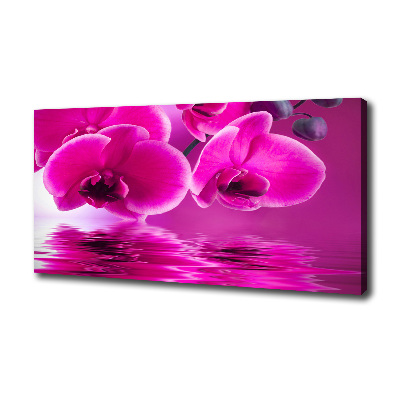 Foto op canvas Orchidee
