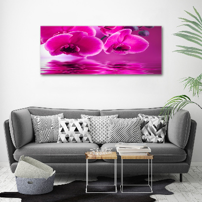 Foto op canvas Orchidee