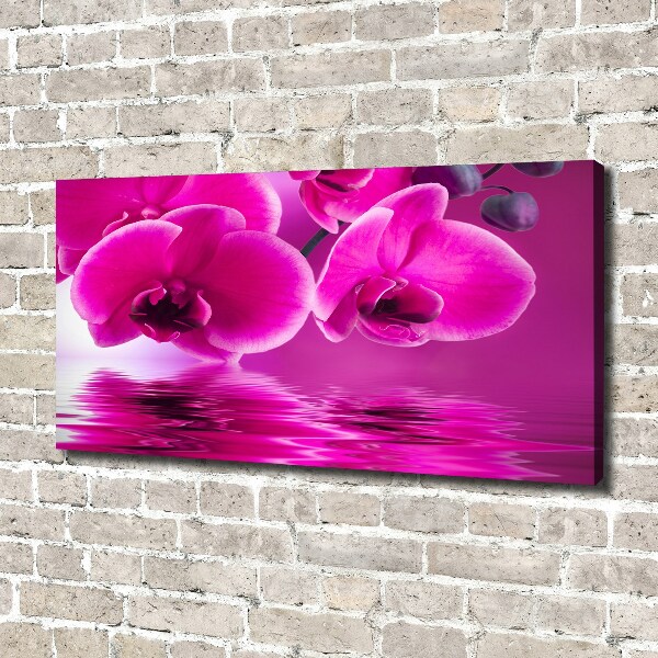 Foto op canvas Orchidee
