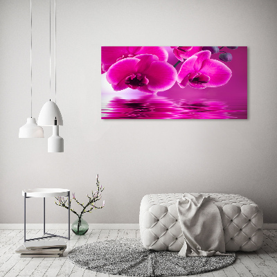 Foto op canvas Orchidee