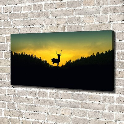 Foto canvas Hert