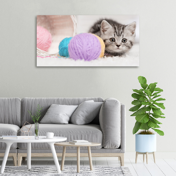 Foto op canvas Kat met strengen