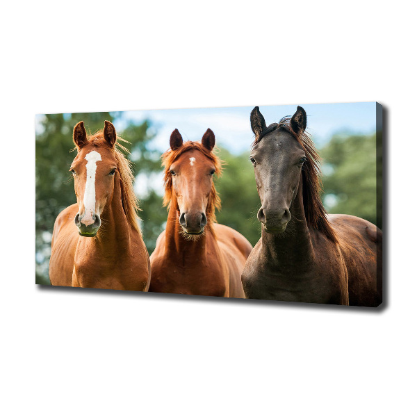 Canvas schilderij Drie paarden
