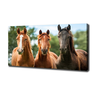 Canvas schilderij Drie paarden