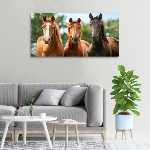 Canvas schilderij Drie paarden