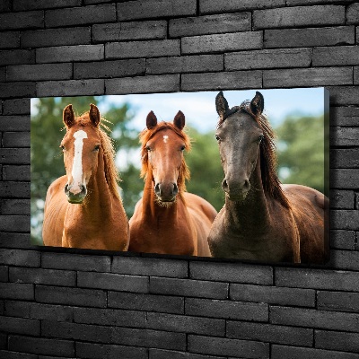 Canvas schilderij Drie paarden