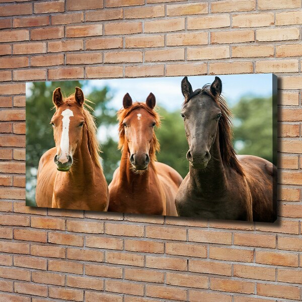 Canvas schilderij Drie paarden
