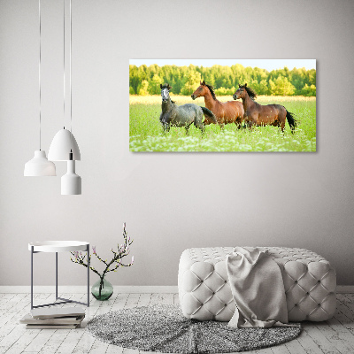 Schilderij op canvas Paarden in galop