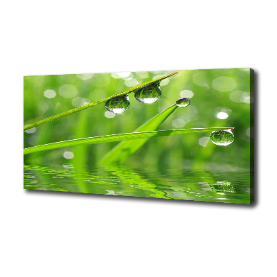 Foto canvas Druppels op het gras