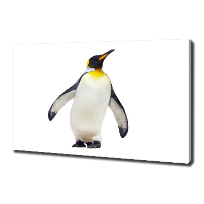 Foto canvas Pinguïn