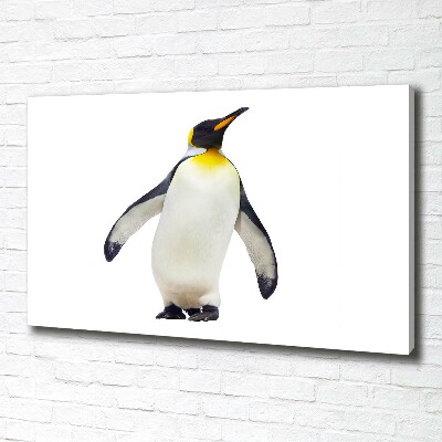 Foto canvas Pinguïn