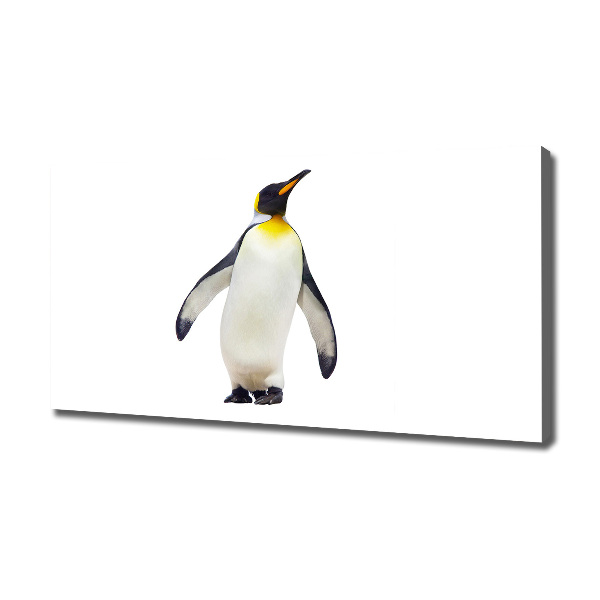 Foto canvas Pinguïn