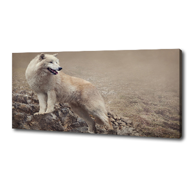 Canvas foto Witte wolf op een rots