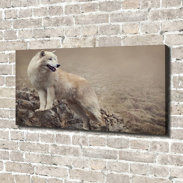 Canvas foto Witte wolf op een rots