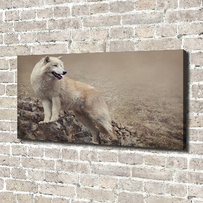 Canvas foto Witte wolf op een rots