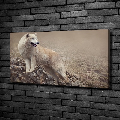 Canvas foto Witte wolf op een rots
