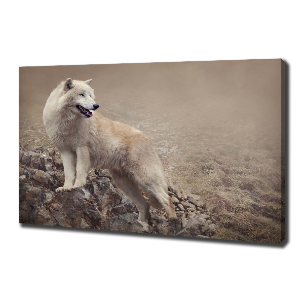 Canvas foto Witte wolf op een rots