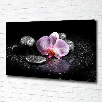 Canvas schilderij Orchidee