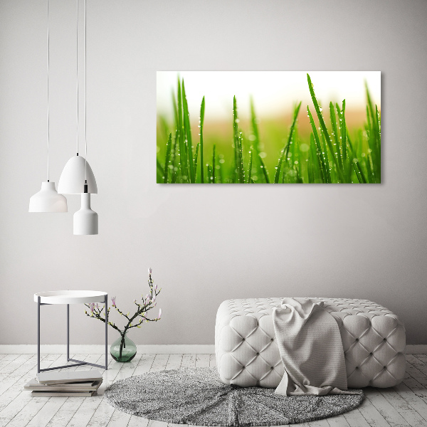 Schilderij op canvas Gras