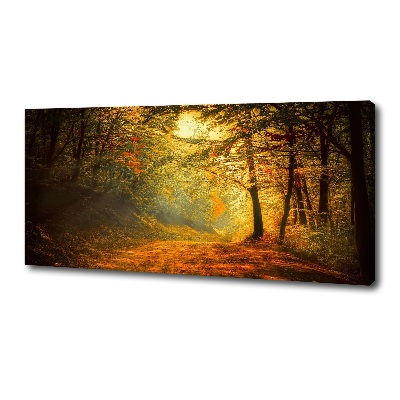 Foto op canvas Bos in de herfst