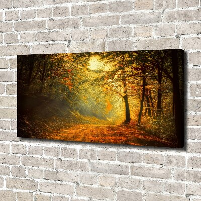 Foto op canvas Bos in de herfst