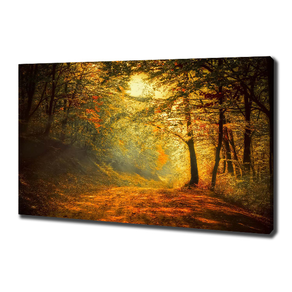 Foto op canvas Bos in de herfst