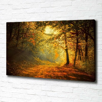 Foto op canvas Bos in de herfst