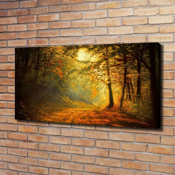 Foto op canvas Bos in de herfst