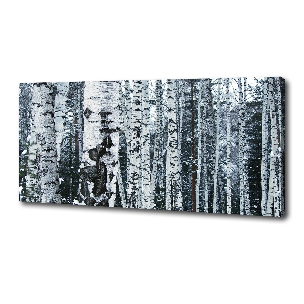 Foto canvas Berkenbomen