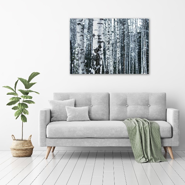 Foto canvas Berkenbomen