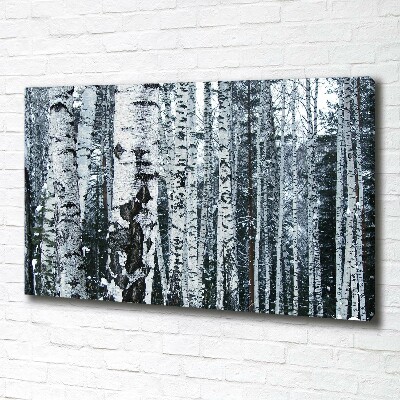 Foto canvas Berkenbomen