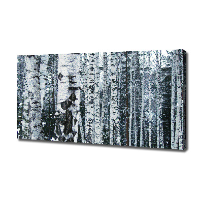 Foto canvas Berkenbomen
