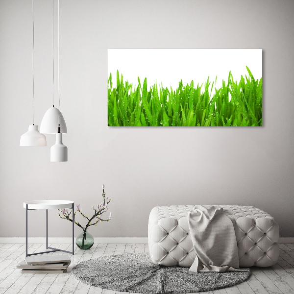 Foto op canvas Gras