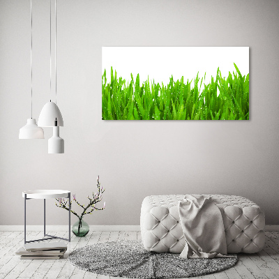 Foto op canvas Gras