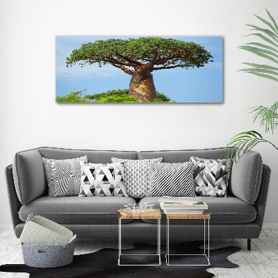 Duży foto obraz na ścianę canvas Baobab