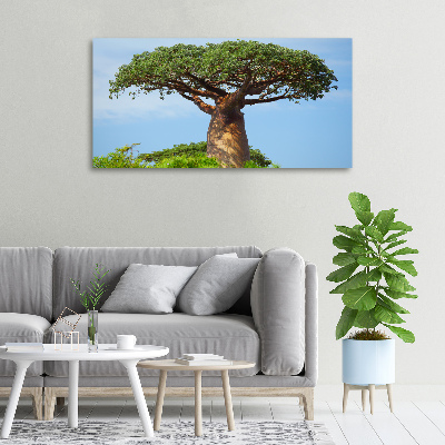 Duży foto obraz na ścianę canvas Baobab