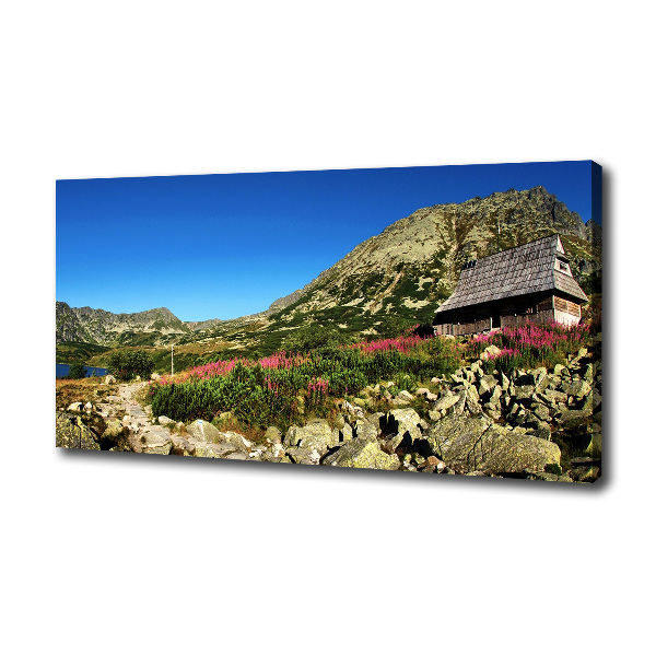 Foto canvas Herdershut in het dal