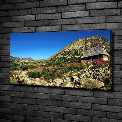 Foto obraz na płótnie Bacówka w dolinie