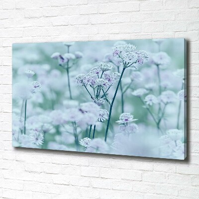 Foto canvas Grote mantelkruid