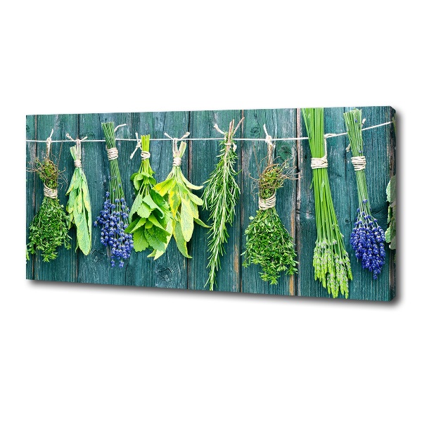 Foto obraz na płótnie Zioła na sznurku
