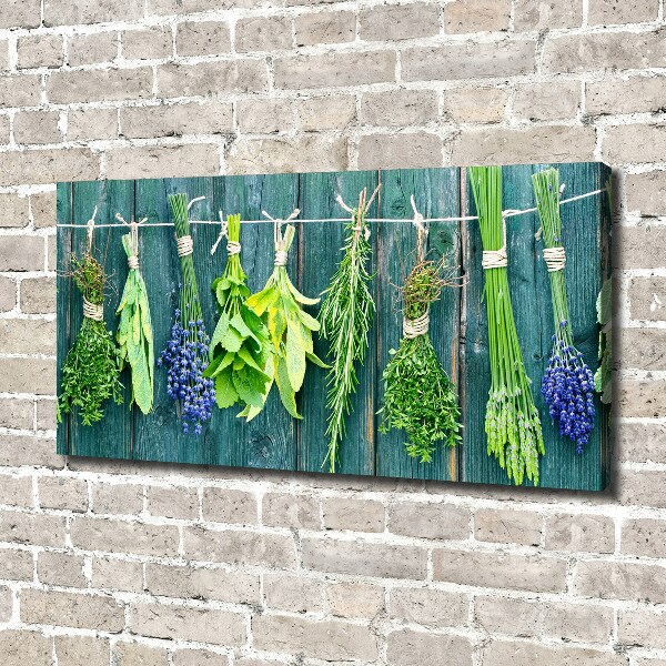 Foto obraz na płótnie Zioła na sznurku