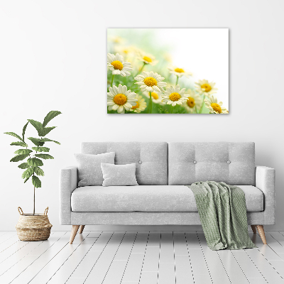 Foto canvas Madeliefjes