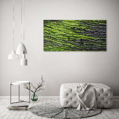 Foto op canvas Boomschors