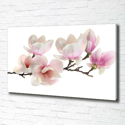Foto obraz canvas Magnolia