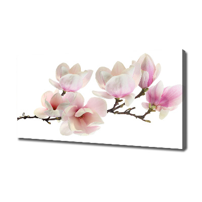 Foto obraz canvas Magnolia